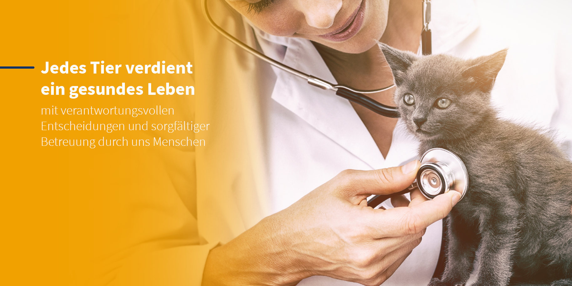 Teaserbild Tierarztpraxis Donner